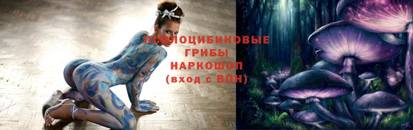 PSILOCYBIN Инта