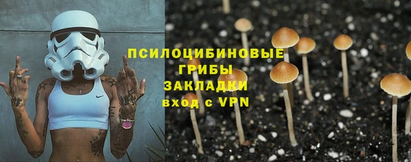 PSILOCYBIN Инта