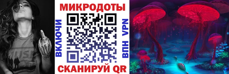 Псилоцибиновые грибы Cubensis  Купить где  Сланцы 