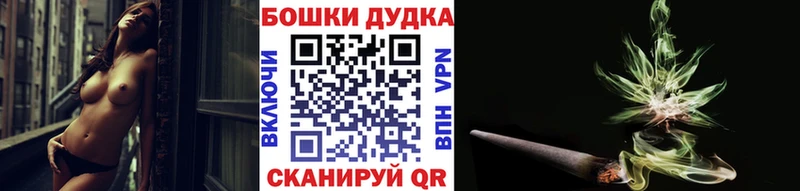 Конопля сатива Сланцы
